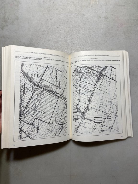 RACCOLTA DELLE LEGGI E DEI REGOLAMENTI DELLA REGIONE EMILIA-ROMAGNA 1980 | Immagine Gallery 3