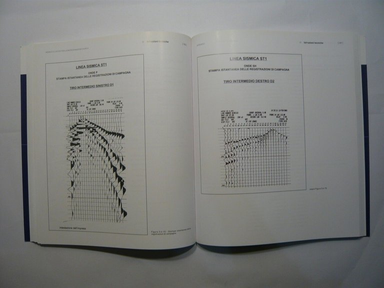 Ramerini,Di Pasquale,INDIRIZZI E CRITERI PER LA MICROZONAZIONE SISMICA