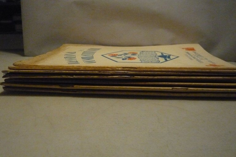 RASSEGNA DEI COMBATTENTI, Bologna 1929[annata completa