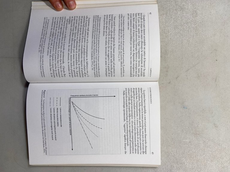 Re,ERGOGNOMIA PER PSICOLOGI Lavoro cognitivo...,Raffaello Cortina 1995