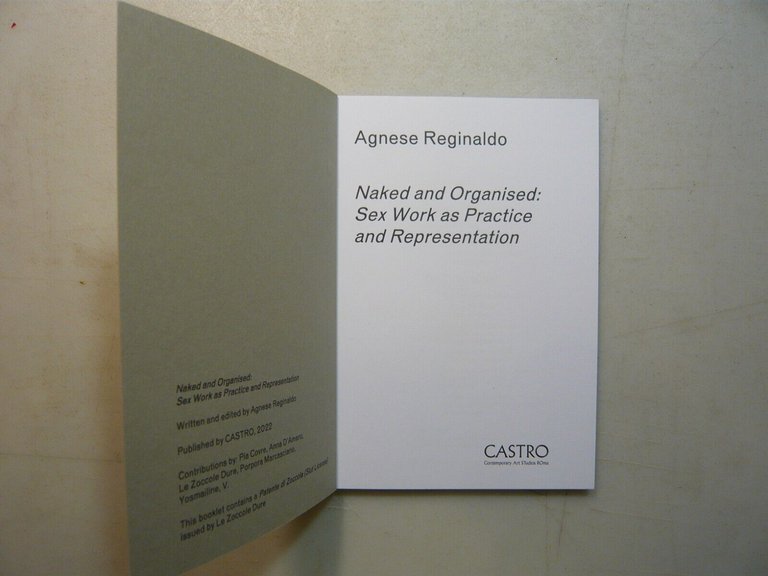 Reginaldo,NAKED AND ORGANIZED: SEX WORK AS PRACTICE AND REPRESENTATION,2022