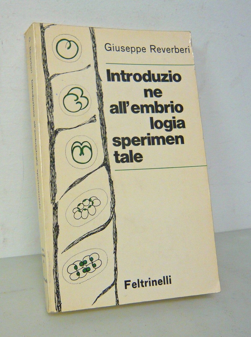 Reverberi,INTRODUZIONE ALL’EMBRIOLOGIA SPERIMENTALE,1967 Feltrinelli[biologia