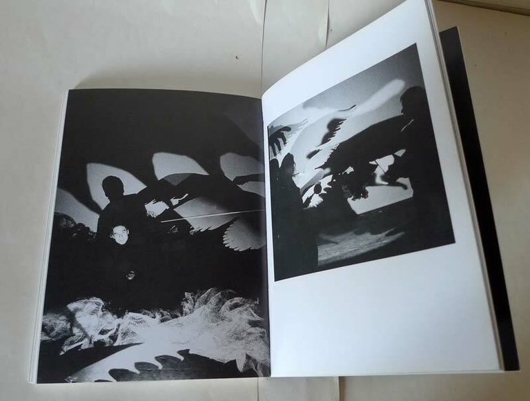 Riccarda Montenero,INTORNO A THANATOS.DIVAGAZIONI,1998 Ed.d'Arte Fratelli Pozzo