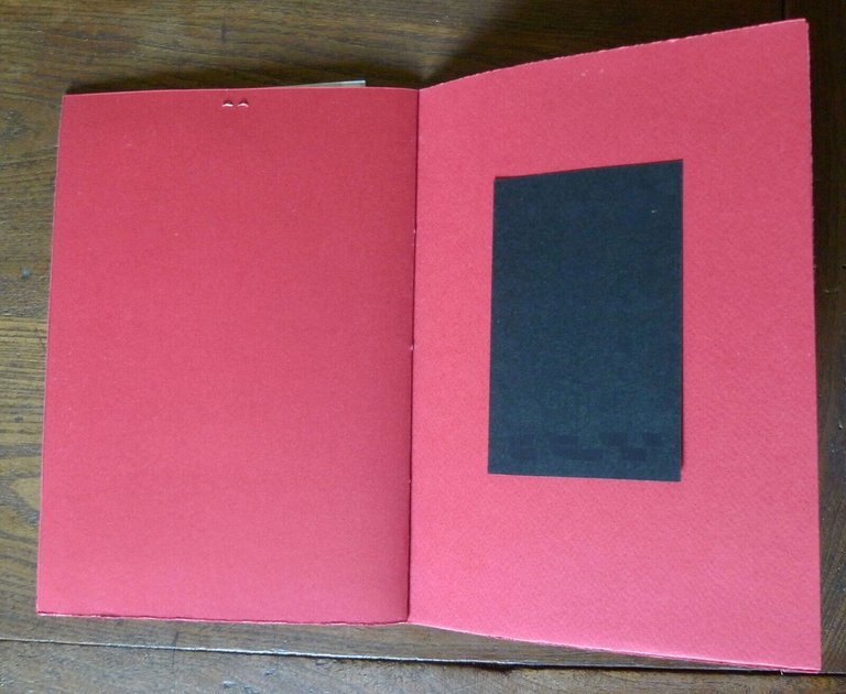 Riccardo Pavanelli,NERO,NERO RIPETUTO,2010 Pulcinoelefante[libro d'artista,arte