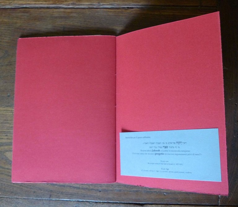 Riccardo Pavanelli,NERO,NERO RIPETUTO,2010 Pulcinoelefante[libro d'artista,arte