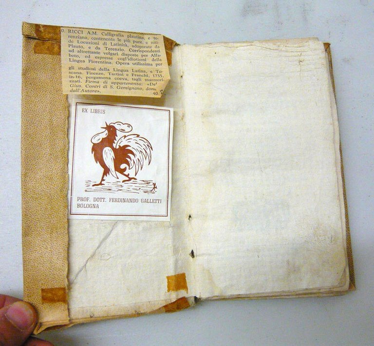 Ricci,CALLIGRAFIA PLAUTINA E TERENZIANA,1751 Venezia,Pitteri[lingua toscana