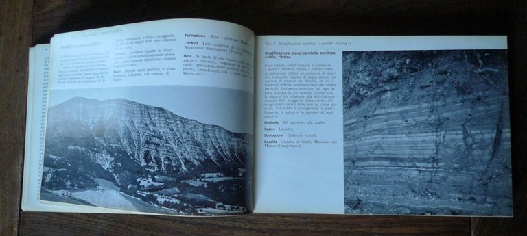 Ricci Lucchi,SEDIMENTOGRAFIA.Atlante fotografico,1970 Zanichelli[geologia | Immagine Gallery 5