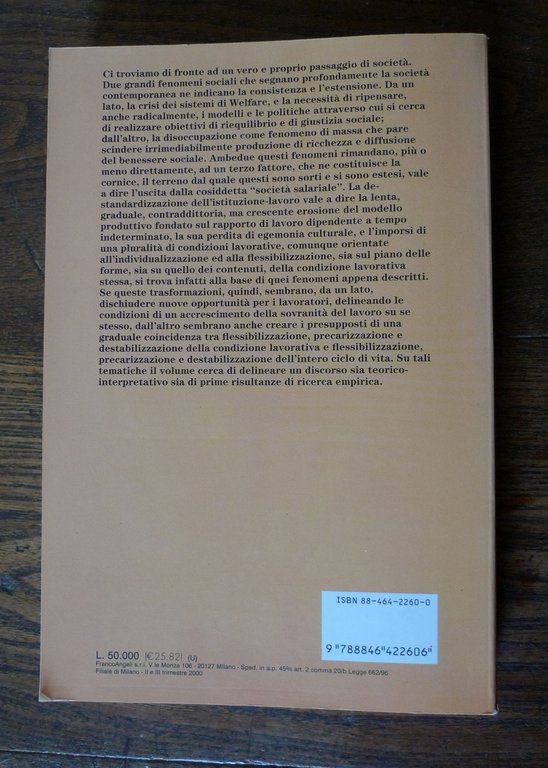 Rizza,POLITICHE DEL LAVORO E NUOVE FORME DI PRECARIZZAZIONE LAVORATIVA,2000 | Immagine Gallery 2