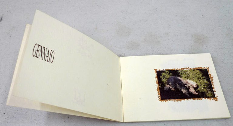 Roberto Steve Gobesso/Gianni Rusconi,A CHE COSA SERVE,1987[grafica,illustrazione