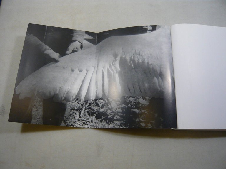 Robinson,CHARLES CHAPLIN,THE FREAK.La storia di un film incompiuto,2020