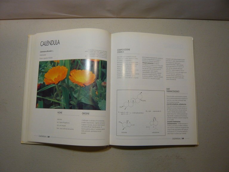 Rombi,100 PIANTE MEDICINALI,Edizioni Romart, 1993[interesse terapeutico