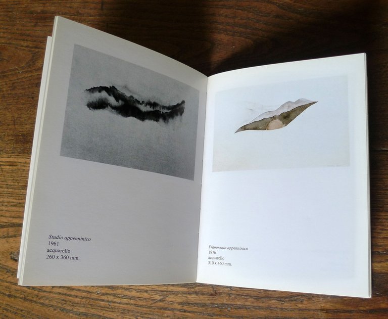 Rosalba,OLII E ACQUARELLI 1952-1998.ALL'INSEGNA DEL PESCE D'ORO[arte,Scheiwiller
