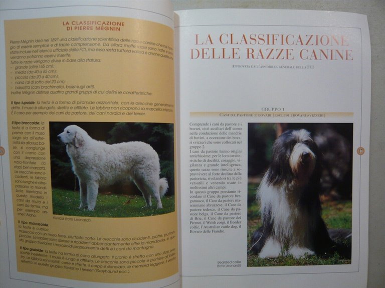 Rossi,COME RICONOSCERE I CANI GUIDA FOTOGRAFICA,De Vecchi,2001