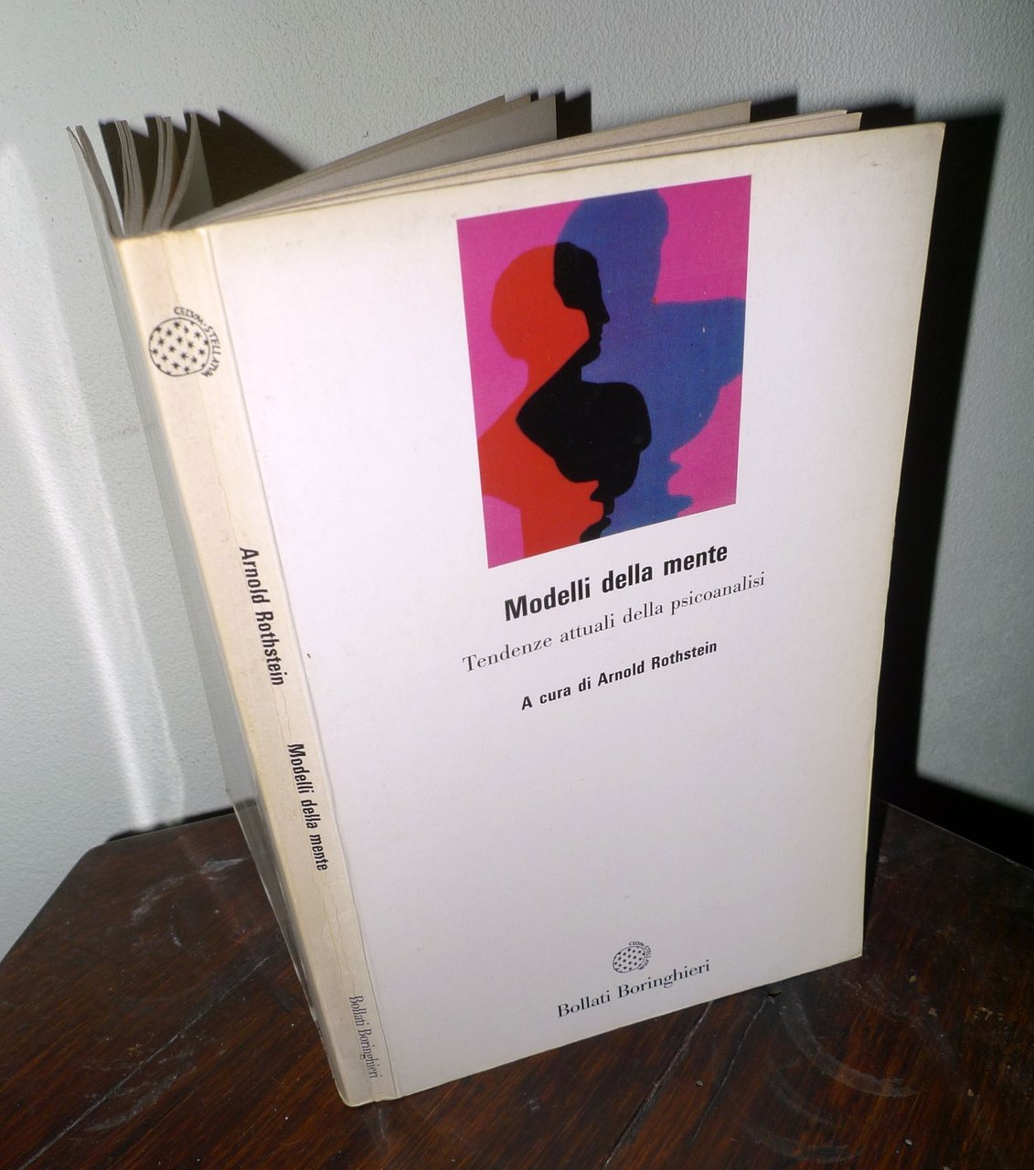 Rothstein,MODELLI DELLA MENTE.Tendenze attuali della psicoanalisi,1993 | Immagine principale