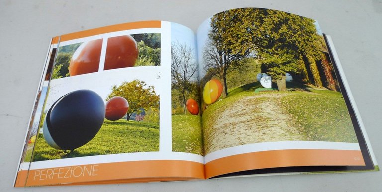 Rubini,GIULIANO GIULIANI A CRESPELLANO.L'artista,le opere,Ca'Vecchia,2005[arte