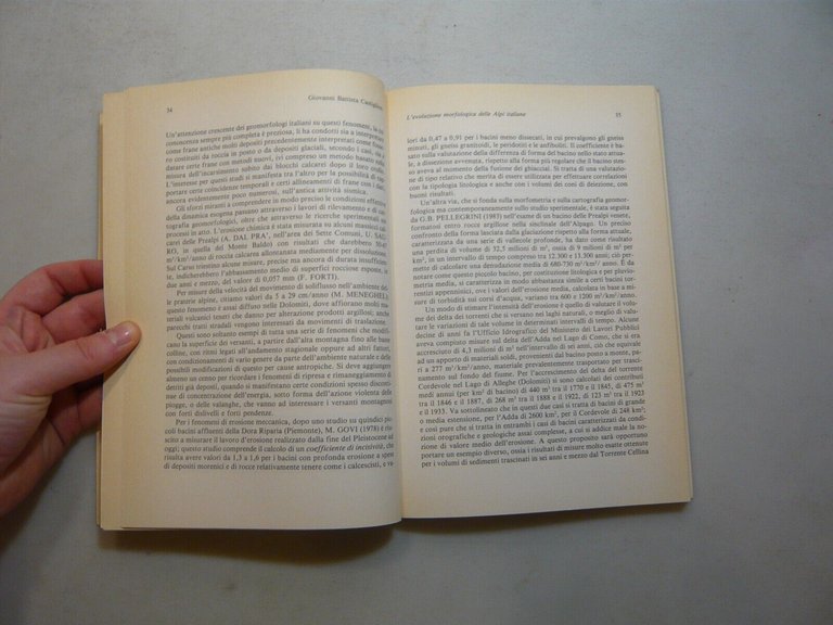 Ruocco,LE ALPI.Barriera naturale,individualità umana, frontiera politica,1994