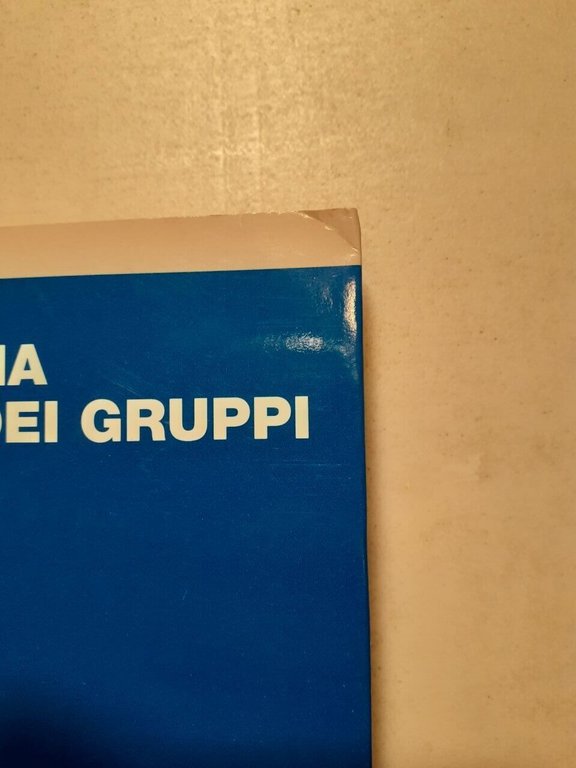 Rupert Brown, PSICOLOGIA SOCIALE DEI GRUPPI, Il Mulino 1990