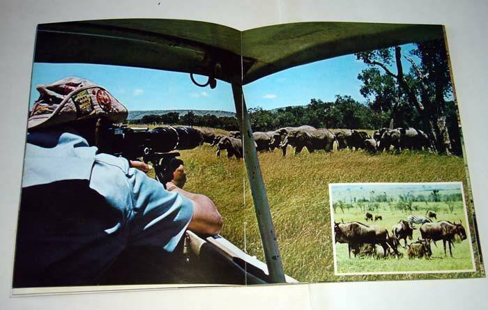 Sassi/Banner,MAASAI MARA-AMBOSELI,Kensta 1982[guida Kenya,parchi,safari,foto