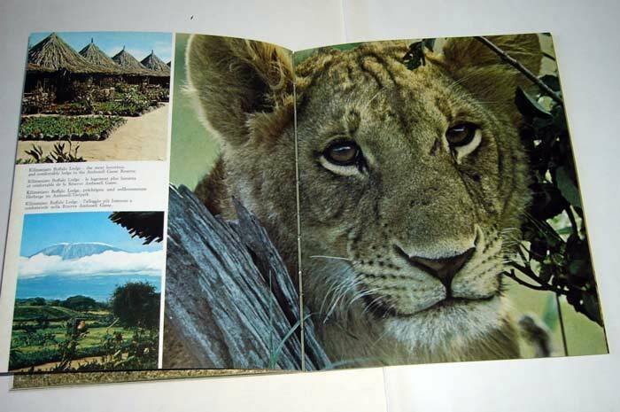Sassi/Banner,MAASAI MARA-AMBOSELI,Kensta 1982[guida Kenya,parchi,safari,foto