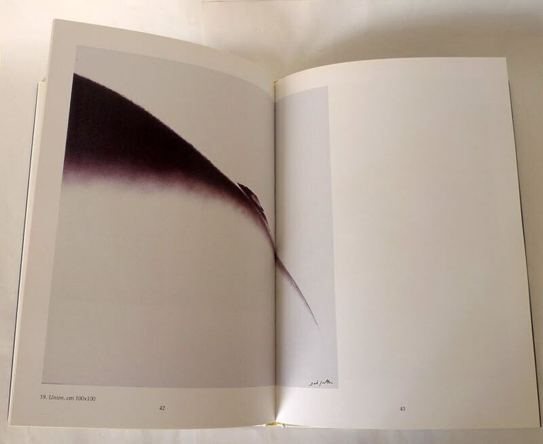 Saul Fontela,LA SCRITTURA DELLA LUCE,2000 Spirali I^ed[FOTOGRAFIA,arte,catalogo