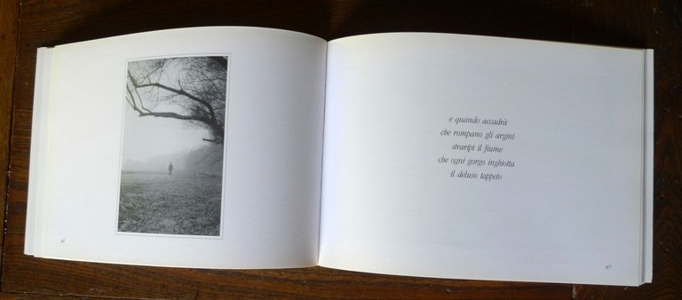 Scanavini/Longfils,FORSE ALTROVE,2007 Sometti[fiume Po,fotografia,poesia,haiku