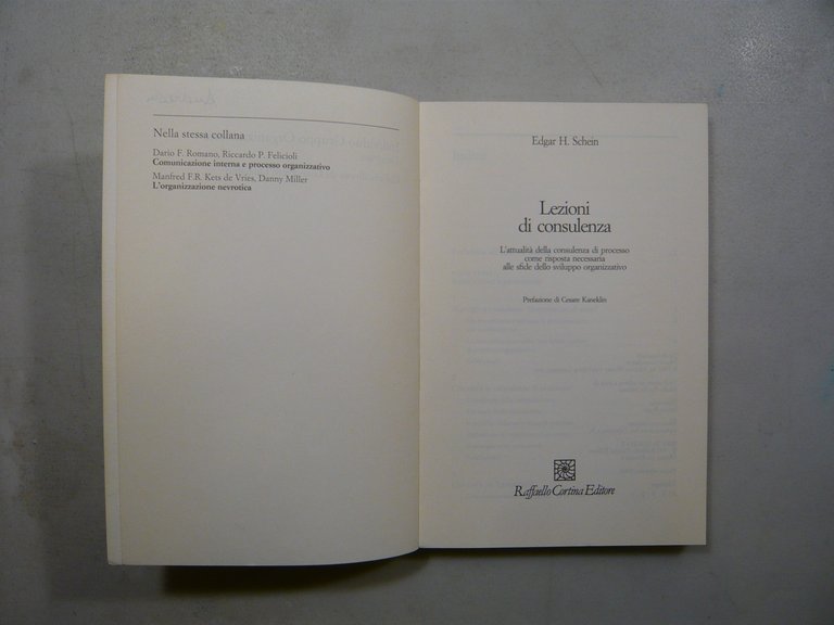 Schein,LEZIONI DI CONSULENZA, 1992