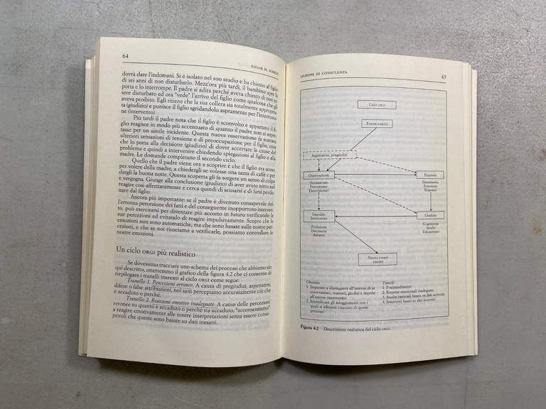 Schein,LEZIONI DI CONSULENZA, 1992