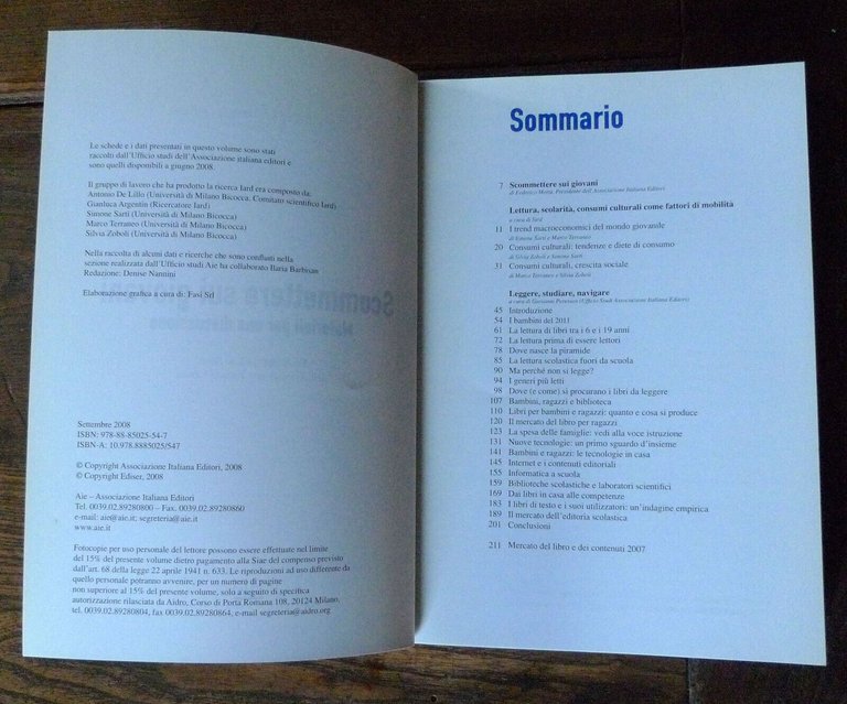 SCOMMETTERE SUI GIOVANI.MATERIALI PER UNA DISCUSSIONE,2008 AIE[consumo culturale