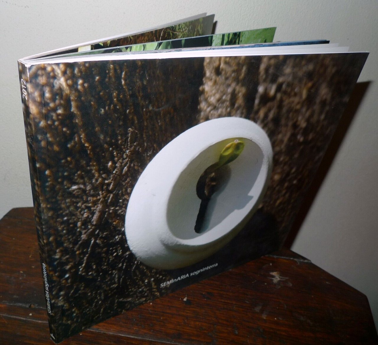 SEMInARIA sogninterra.FESTIVAL D'ARTE CONTEMPORANEA 2012 Maranola di Formia