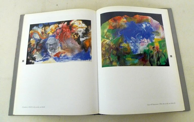 Serafini,Enrico VISANI.Dentro la natura,2001[catalogo arte,autografo