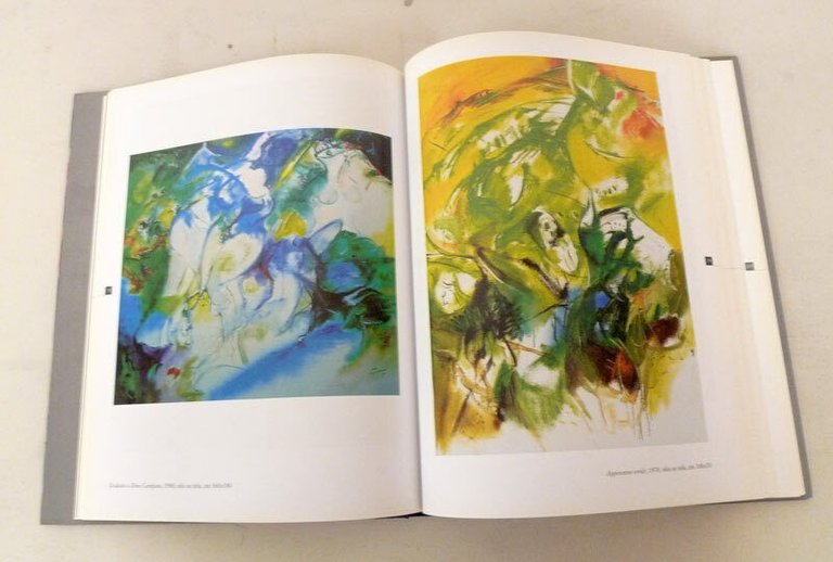 Serafini,Enrico VISANI.Dentro la natura,2001[catalogo arte,autografo