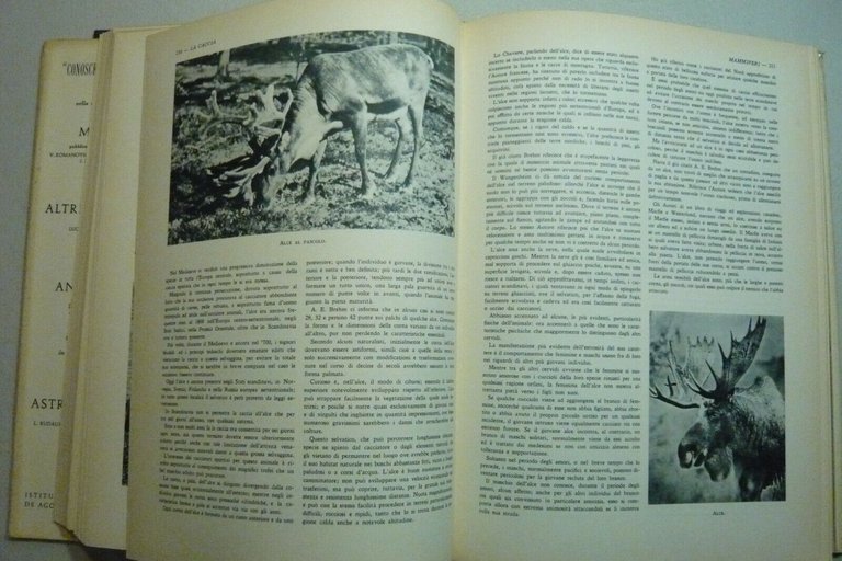 Sergio Perosino,LA CACCIA,De Agostini, Novara, 1960