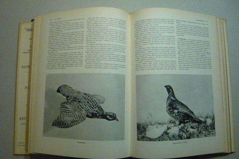 Sergio Perosino,LA CACCIA,De Agostini, Novara, 1960