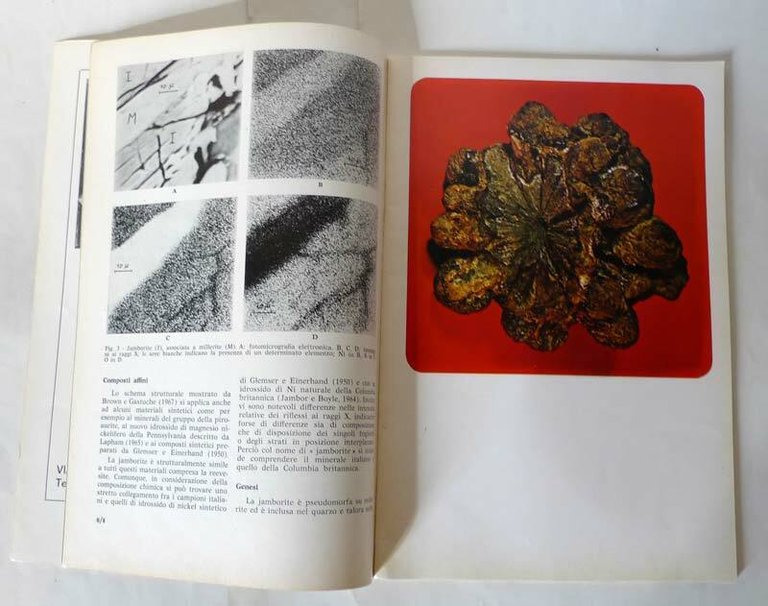 Sial n.1/n.2 1974.Rivista di MINERALOGIA,SPELEOLOGIA E PALEONTOLOGIA,Edagricole