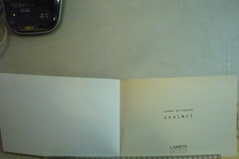 Simone Pellegrini,ISOLARI,2006[mostra bologna