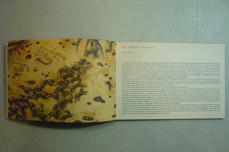 Simone Pellegrini,ISOLARI,2006[mostra bologna
