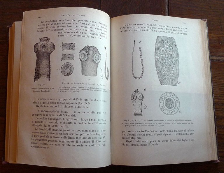 Sisto,MICROSCOPIA E CHIMICA CLINICA,1929 UTET[STORIA MEDICINA