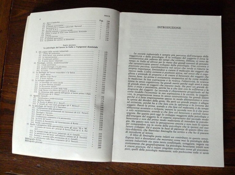 Smiraglia,PSICOLOGIA SOCIALE DELLA SOCIETÀ INDUSTRIALE.Gerarchia e dominio,1993