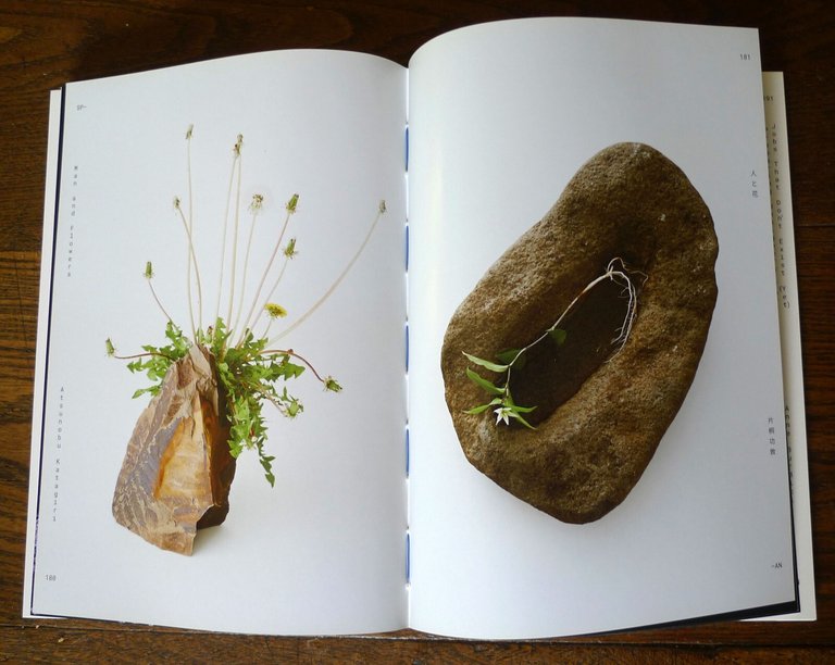SPAN READER N.2.CONVERSATIONS ON DESIGN & TECHNOLOGY,2016 Google[GRAFICA,Tokyo
