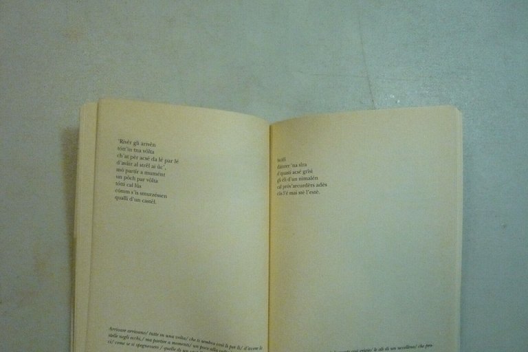 Stefano Delfiore,IUSVEIDKAIAM.Poesie 1983-1995, fuoriTHEMA, Bologna, 1996