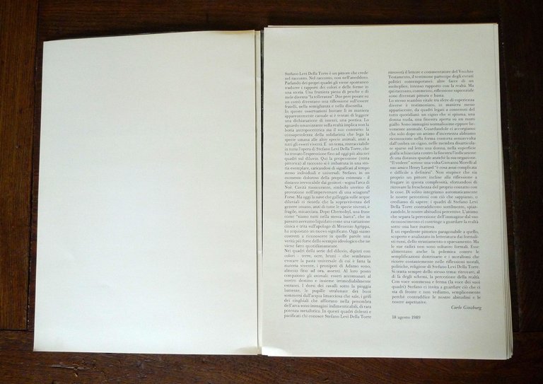 Stefano Levi Della Torre,DIPINTI E DISEGNI,1989 Gall.Documenta[catalogo,arte