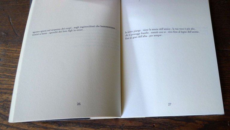 Stefano Massari,DIARIO DEL PANE,2003 Raffaelli[poesia contemporanea