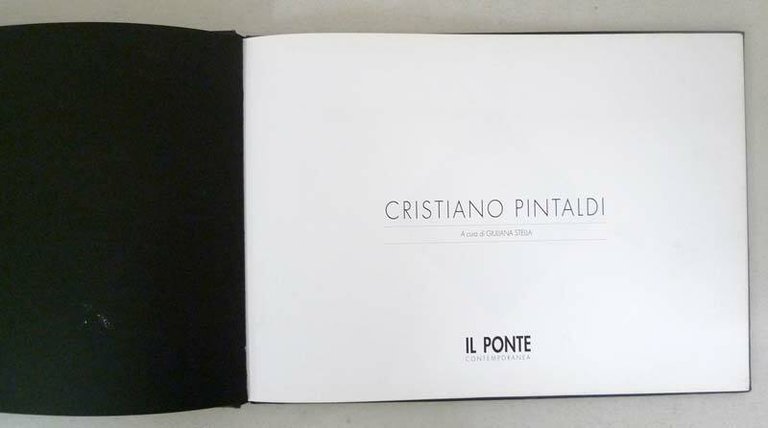 Stella,CRISTIANO PINTALDI,Il Ponte 1995[catalogo mostra,arte contemporanea