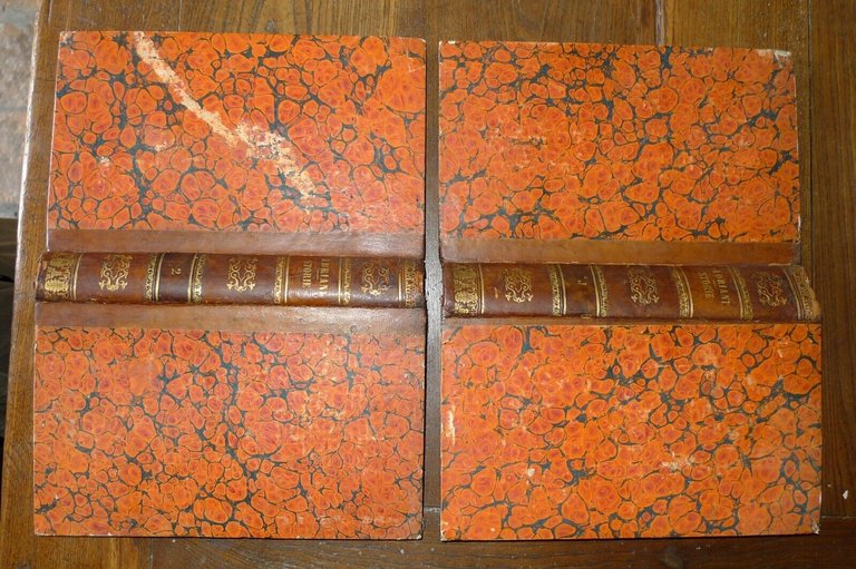 STORIE DI BERNARDO SEGNI E DI GIOVAMBATISTA ADRIANI,1834[storia,Firenze