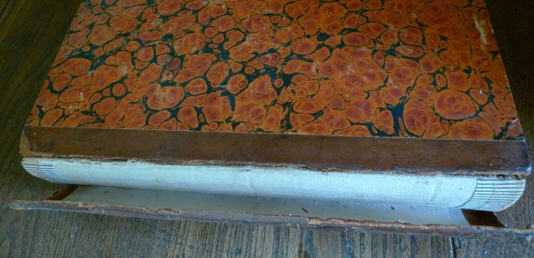 STORIE DI BERNARDO SEGNI E DI GIOVAMBATISTA ADRIANI,1834[storia,Firenze