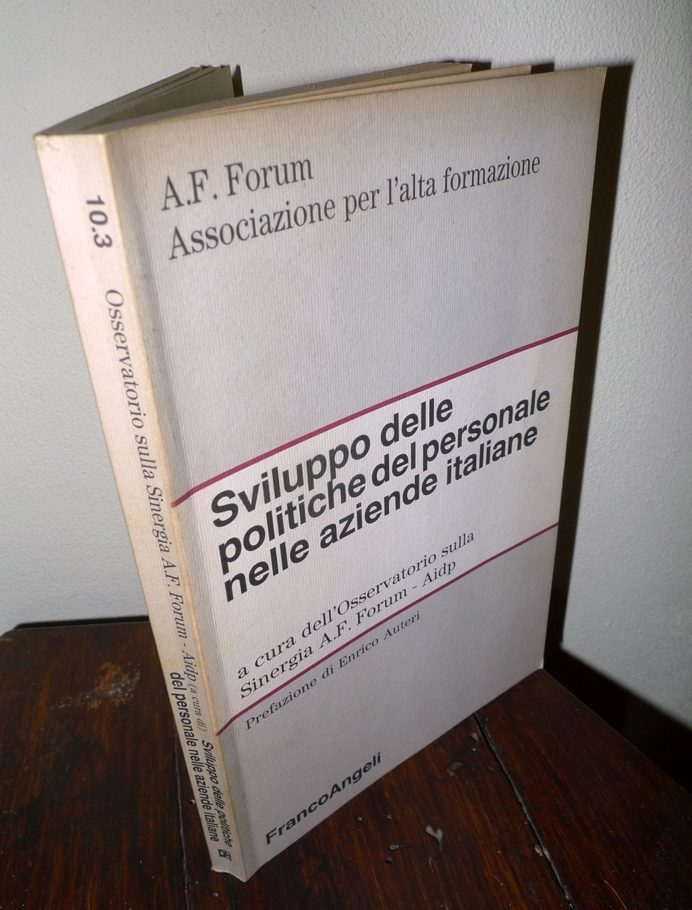 SVILUPPO DELLE POLITICHE DEL PERSONALE NELLE AZIENDE ITALIANE,1995[RISORSE UMANE