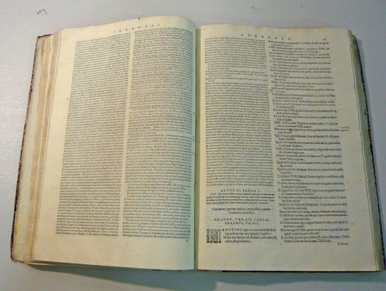 TERENTIUS AFER,commentariis Aelii Donati,COMOEDIAE,1586 Grifio[Terenzio,Commedie