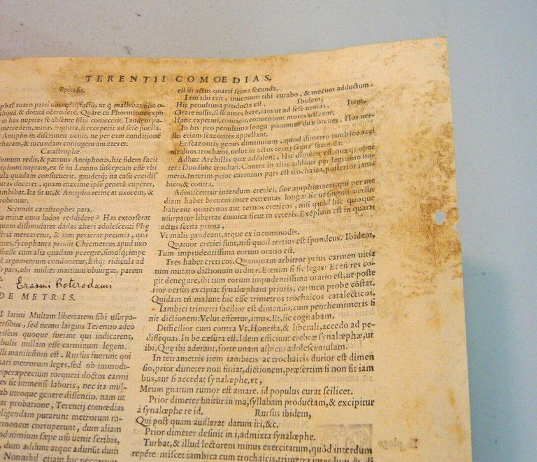 TERENTIUS AFER,commentariis Aelii Donati,COMOEDIAE,1586 Grifio[Terenzio,Commedie