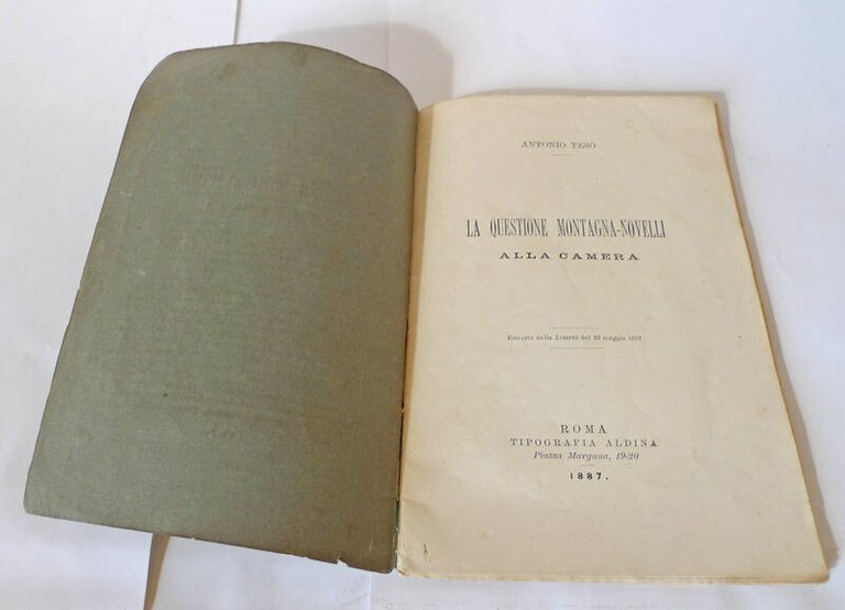 Teso,LA QUESTIONE MONTAGNA-NOVELLI ALLA CAMERA,1887[storia,elezioni,Caserta