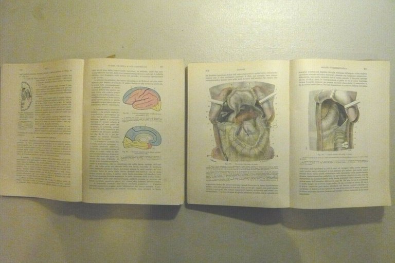 Testut Jacob, ANATOMIA TOPOGRAFICA (2 VOLL), Utet 1933